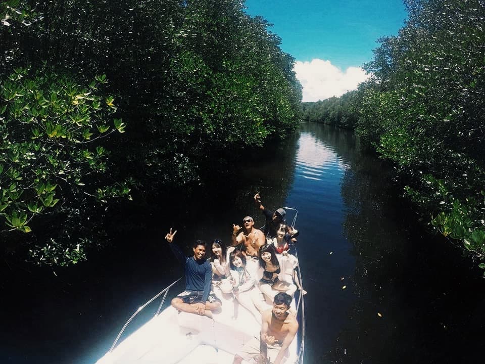 Mangrove tour