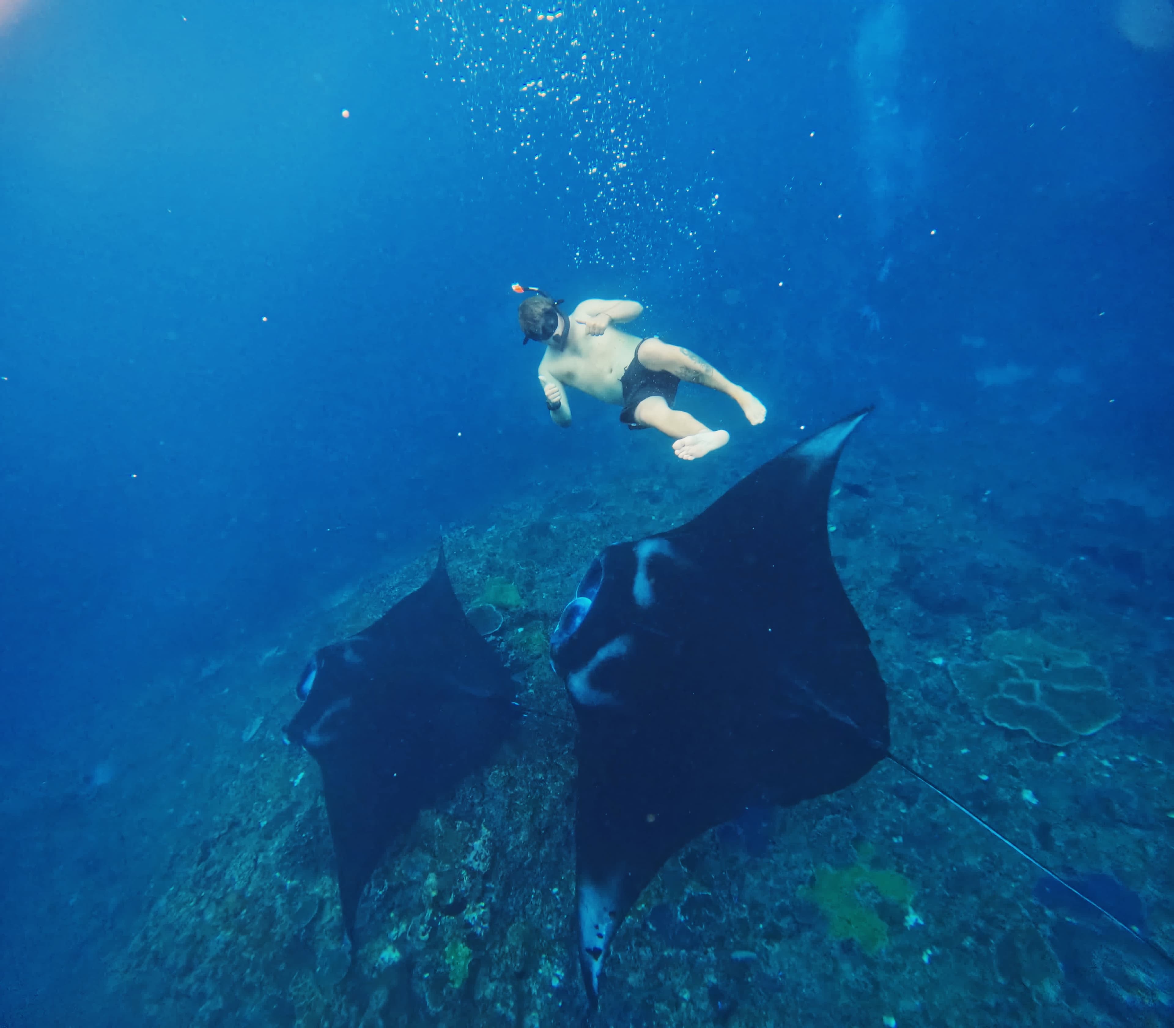Manta Point Pivate Boat Snorkeling
