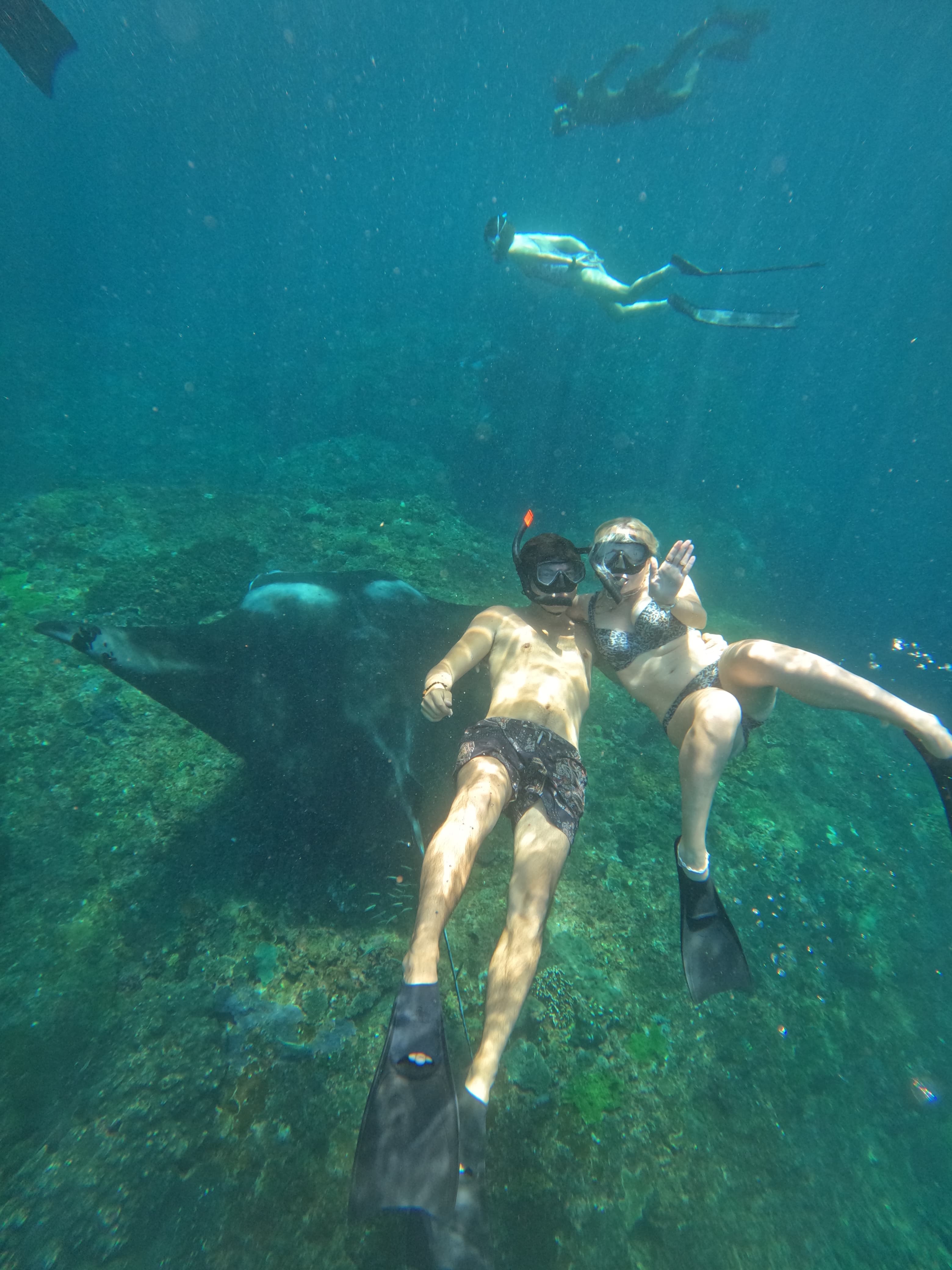 Manta Bay Private Boat Snorkeling